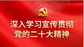 党的二十大报告精髓要义的数字化表达